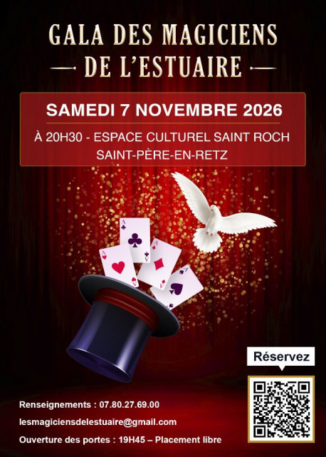 les-magiciens-de-lestuaire-32798
