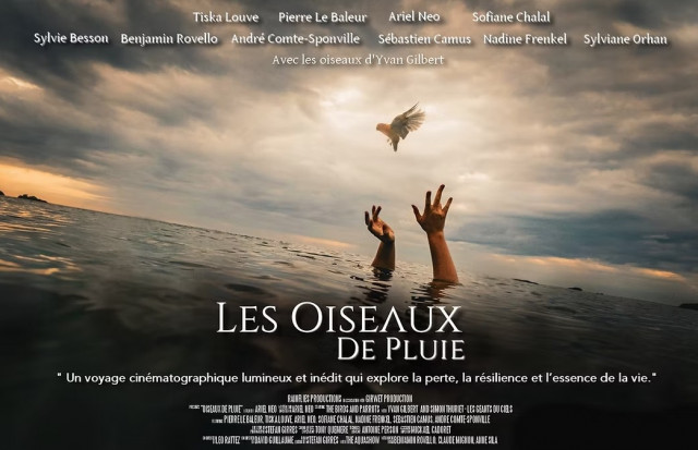 les-oiseaux-de-la-pluie-26581