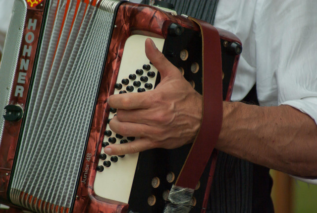 musician-2370079-1280-27005