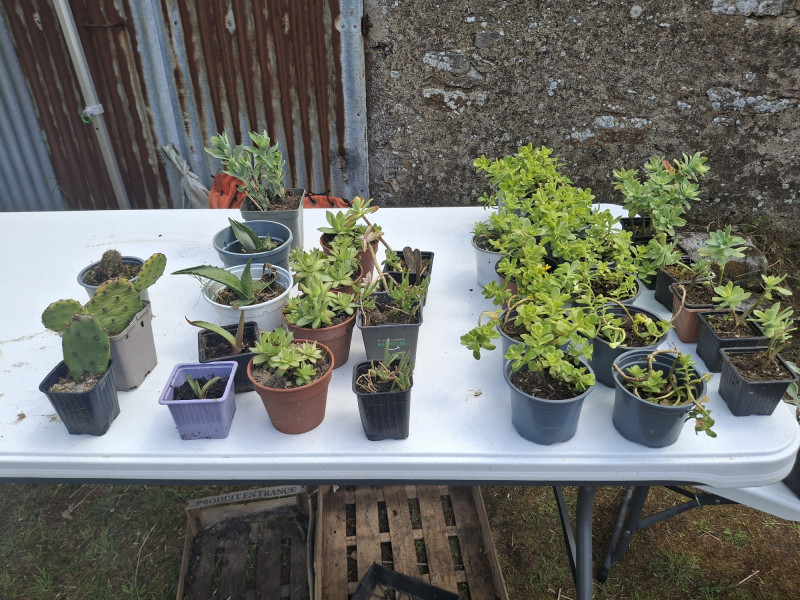 20250509-140008-30697