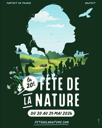 800x600-capture-d-cran-2026-04-02-153446-30702-30779