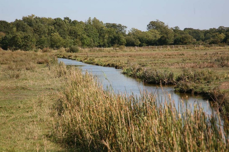 800x600-circuit-des-menhirs-corsept-ccse-st-brevin-loire-atlantique-23-1506-6055