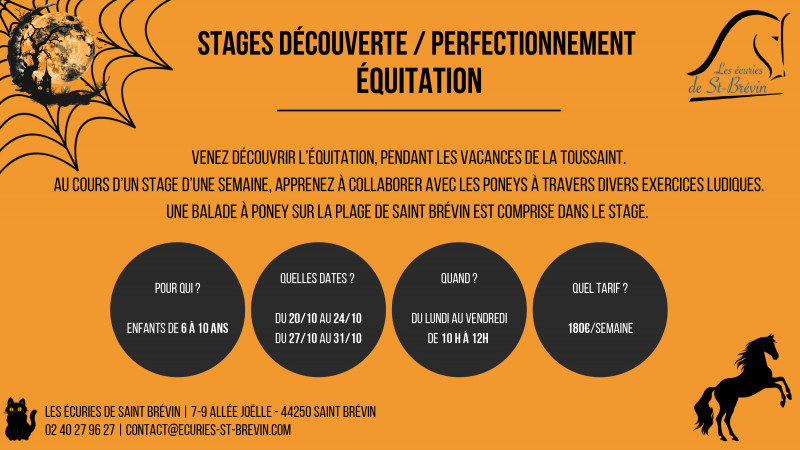 affiche-promo-stages-toussaint-page-0001-cl-mence-bossard-28934