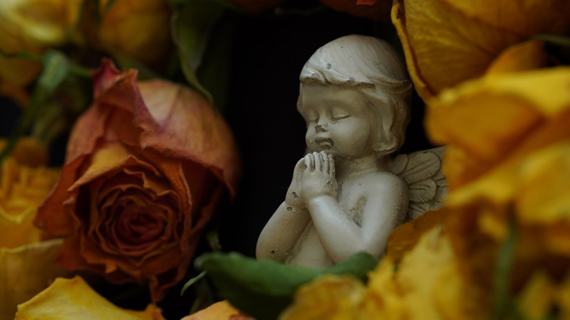 angel-28282