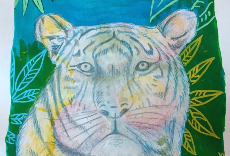 animaux-color-s1-27830