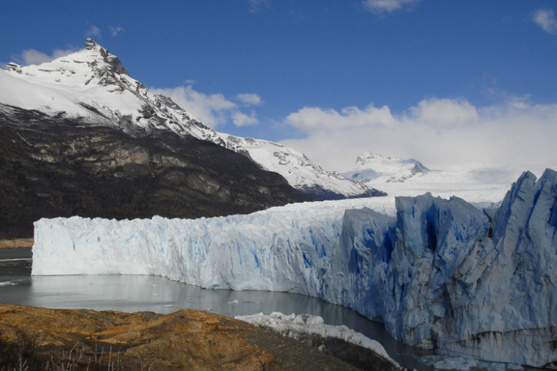 argentine-32418