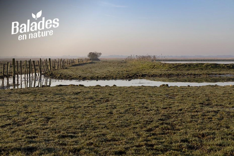 balade-velo-frossay-30172