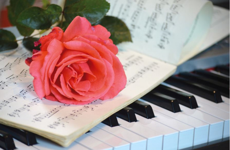 brahms-21177