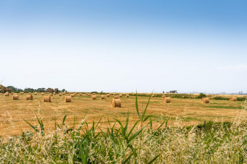 campagne-ccse-ypovagency-26003