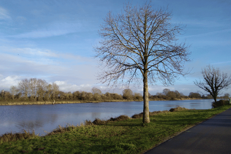 canal-migron-frossay-saint-brevin-11361