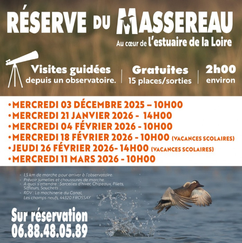 capture-d-cran-2025-12-04-104229-29401