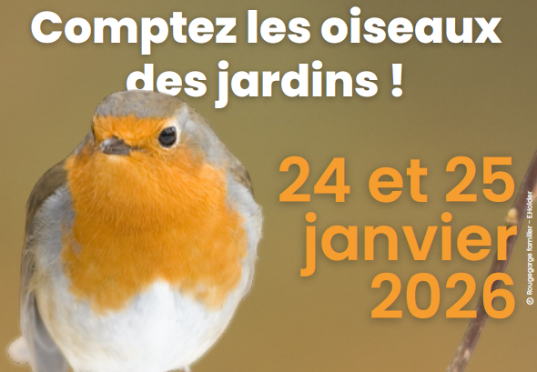 capture-d-cran-2025-12-23-112027-29566