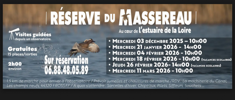 capture-d-cran-2026-01-13-142246-29787