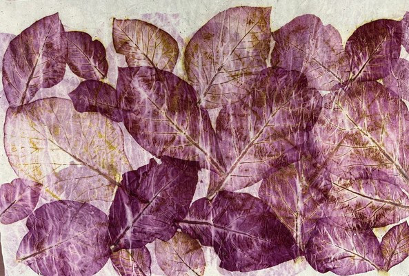 capture-d-cran-2026-01-27-112722-29987