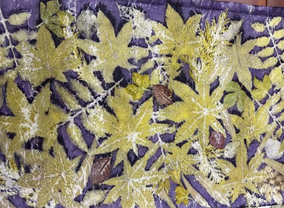 capture-d-cran-2026-01-27-112744-29988