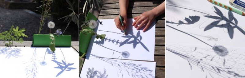 capture-d-cran-2026-01-27-115311-30000