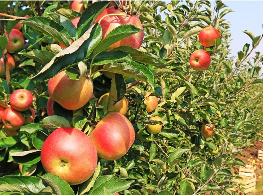 capture-d-cran-2026-02-16-162124-30146