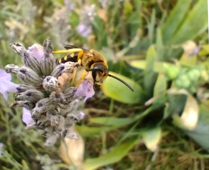 capture-d-cran-2026-04-10-170253-30780