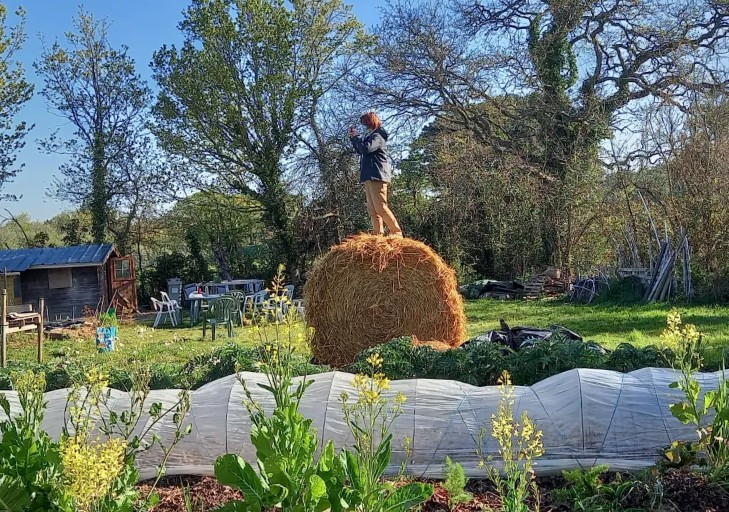 capture-d-cran-2026-04-10-175114-30788