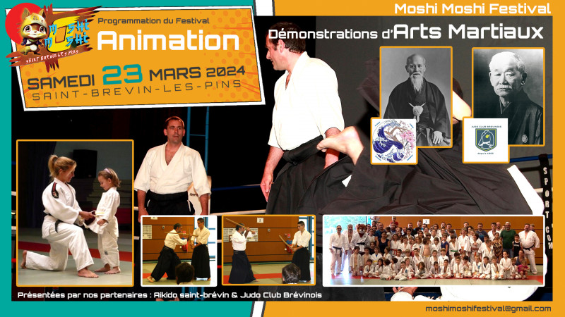 carton1080moshifestfaikidojudo-21755