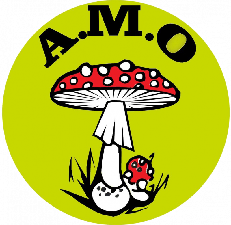 champi-16524