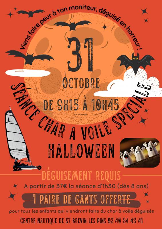 char-voile-halloween-24574