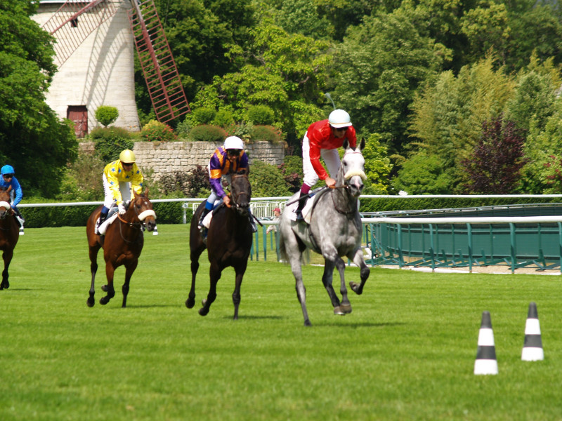 course-hippique-saint-p-re-en-retz-31160
