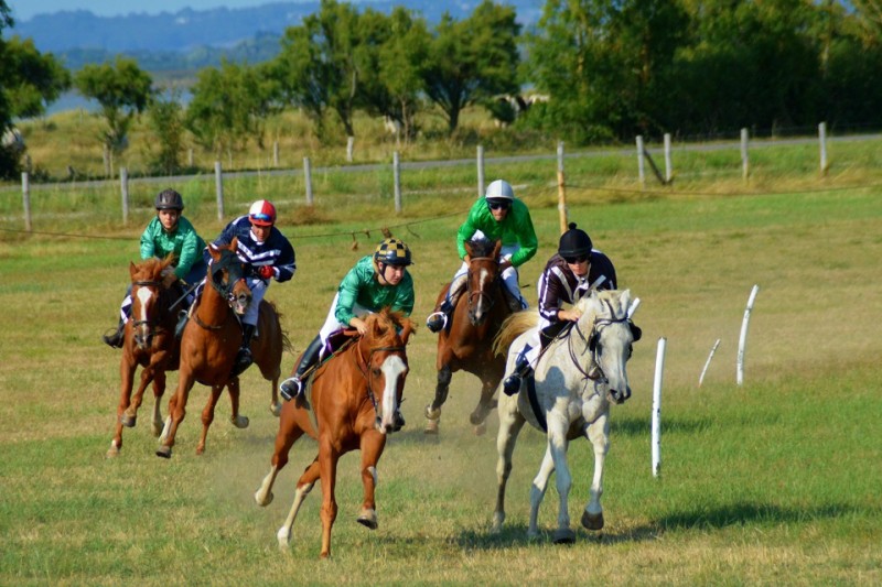 courses-hippiques-corsept-st-brevin-tourisme1-6991