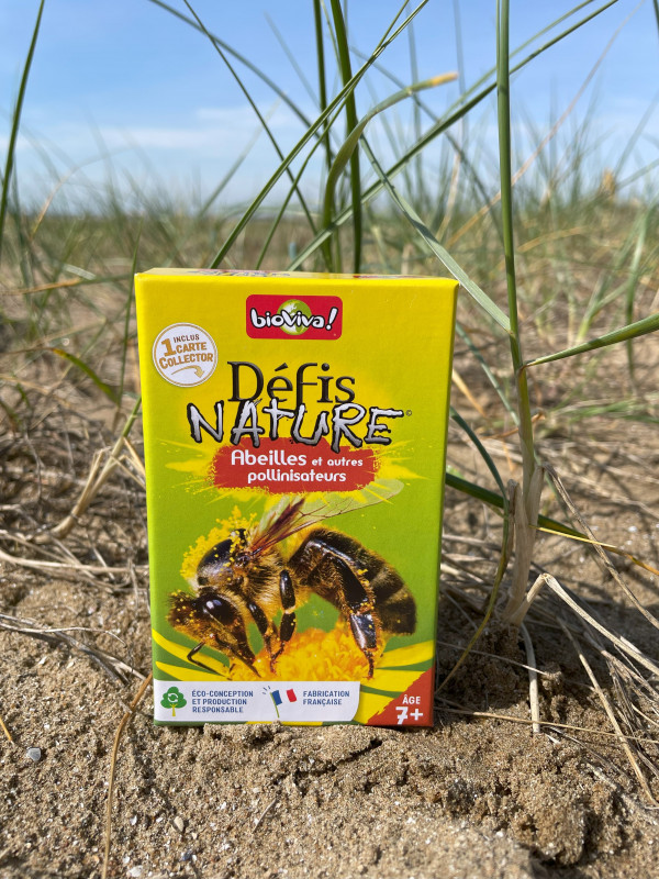 d-fi-nature-abeilles-21920