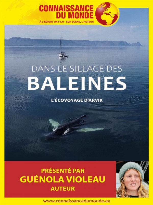 dans-le-sillage-des-baleines-affiche-17120