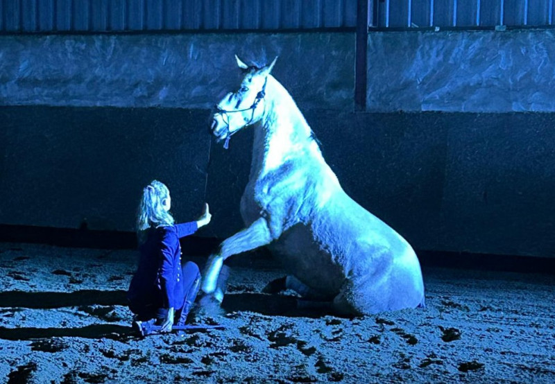 dario-cheval-agenda-26880