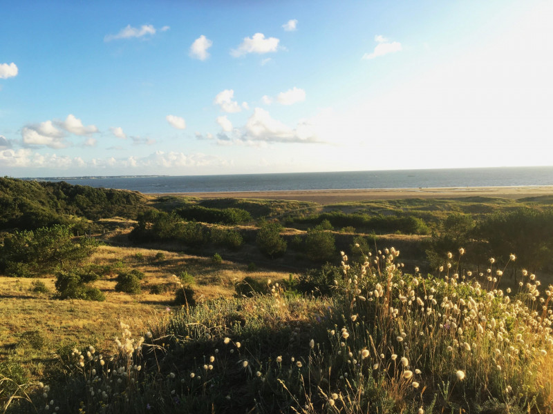 dunes-st-brevin-3-scaled-21911