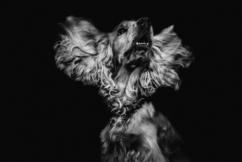 ecoutecollective-matteo-vistocco-25209