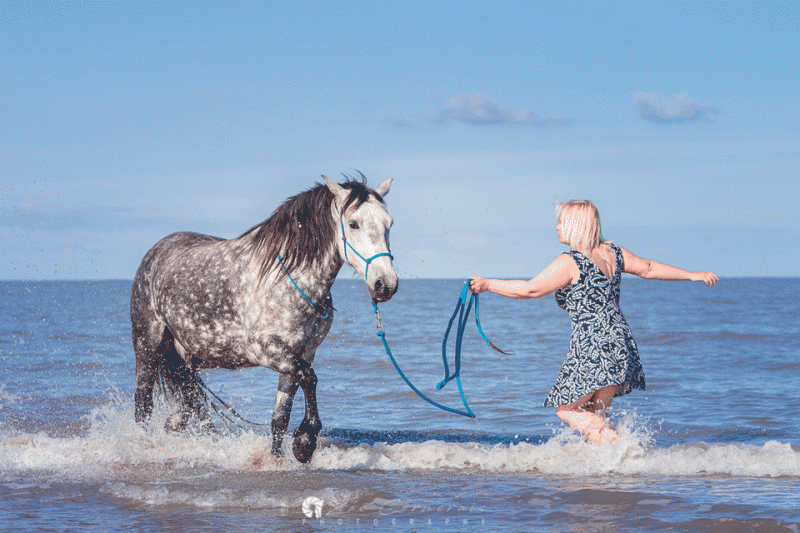 equicoaching-josiane-bellanger-saint-brevin1-11593