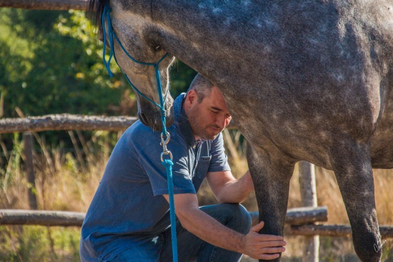 equicoaching-st-brevin-tourisme3-6574