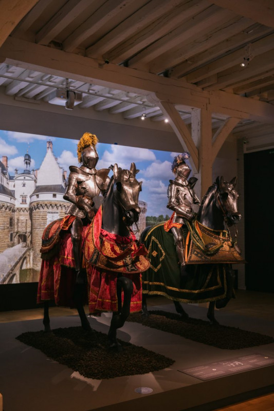 exposition-chevaliers-david-gallard-77-768x1152-csc-mireille-moyon-26354