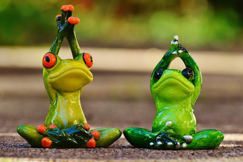 frogs-1030283-1280-23053