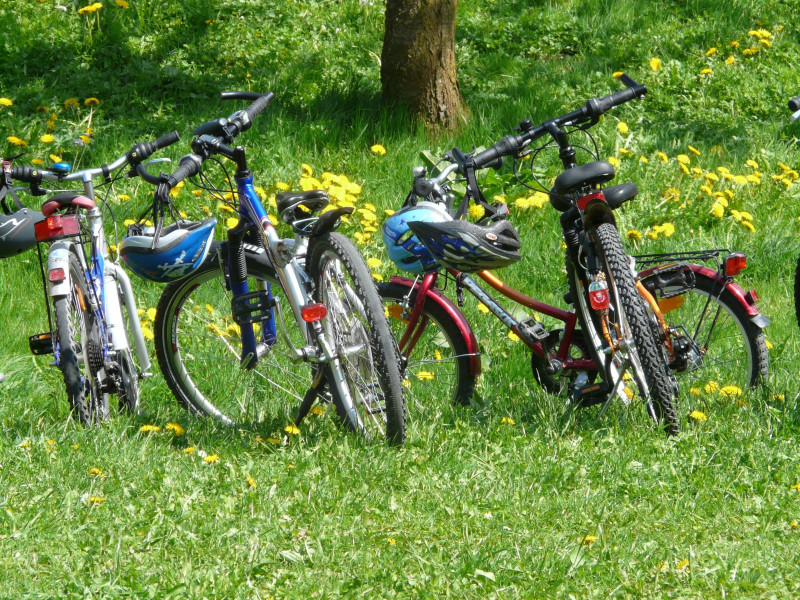 hans-cycles-6895-31591 hans-cycles-6895-31591