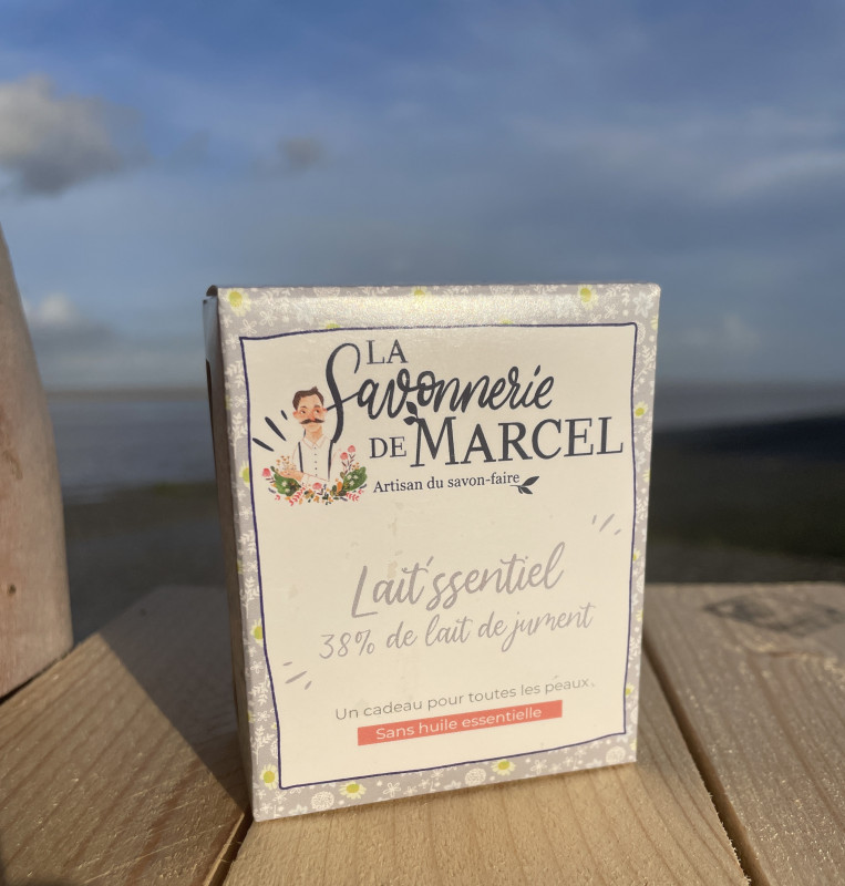 img-0795-recadr-29436