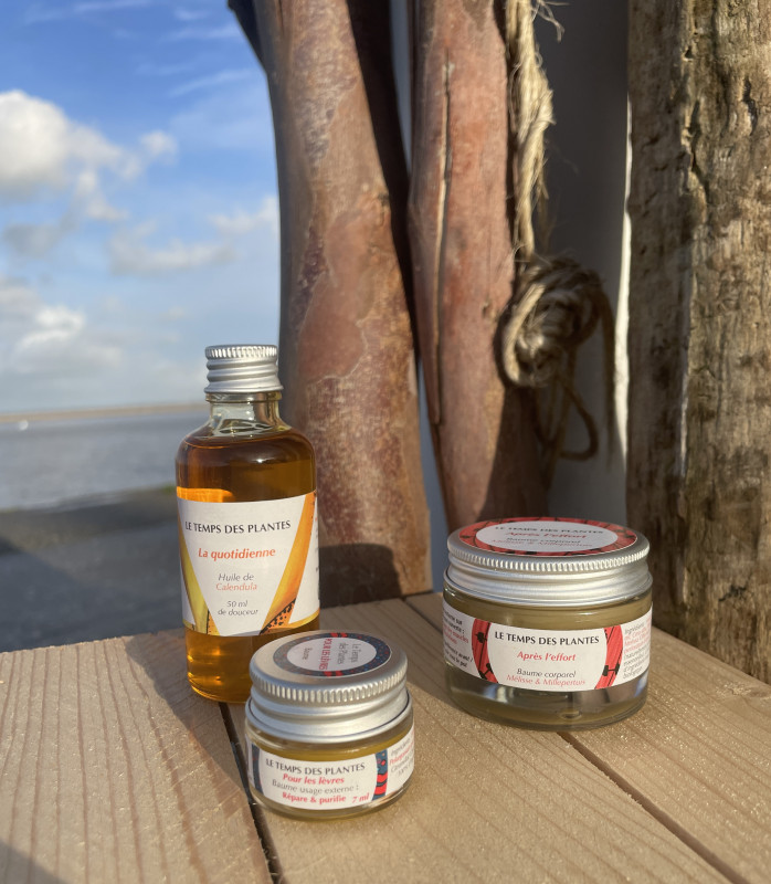 img-0803-recadr-29442