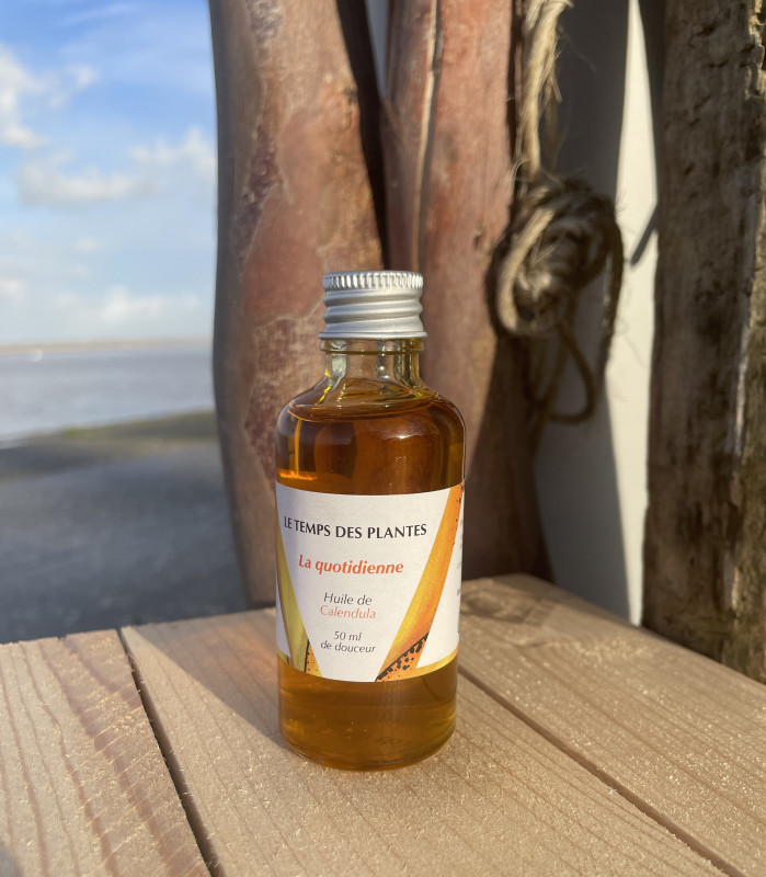 img-0805-recadr-29443