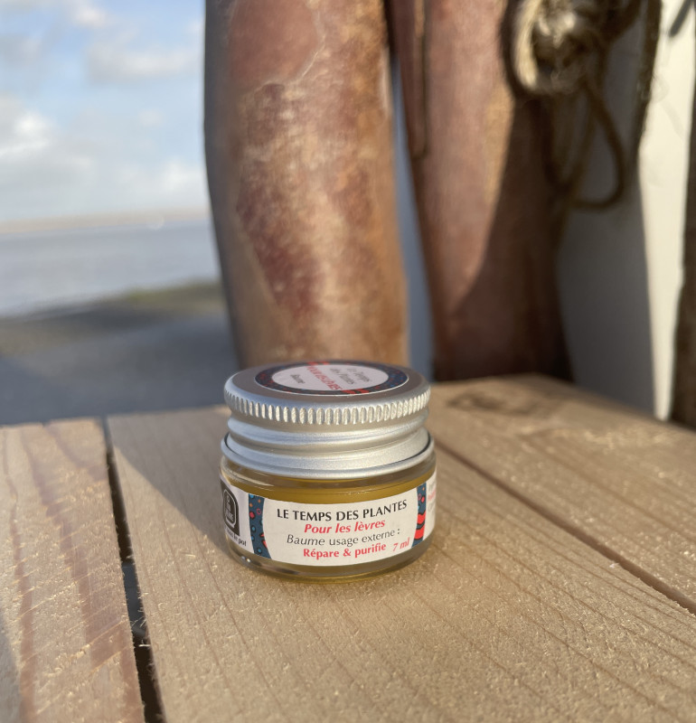 img-0806-recadr-29468