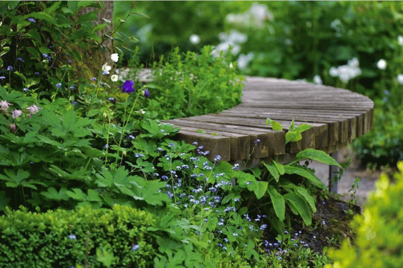 jardin-11257
