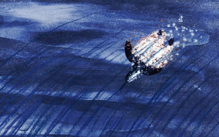 jeune-pousse-1-30649 jeune-pousse-1-30649