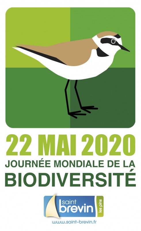 journee-mondiale-biodiversite-saint-brevin2-10898