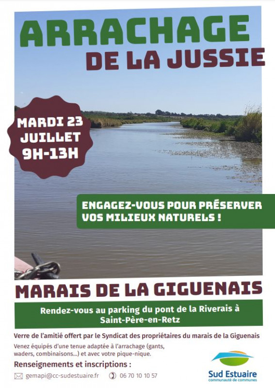 jussie-3-23411
