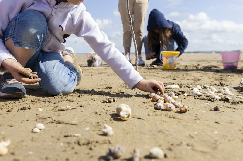 la-chasse-aux-tr-sors-sur-la-plage-emiliebeaulieu-31054