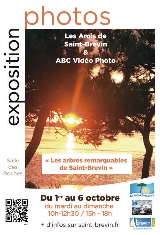 les-amis-de-st-brevin1-24269