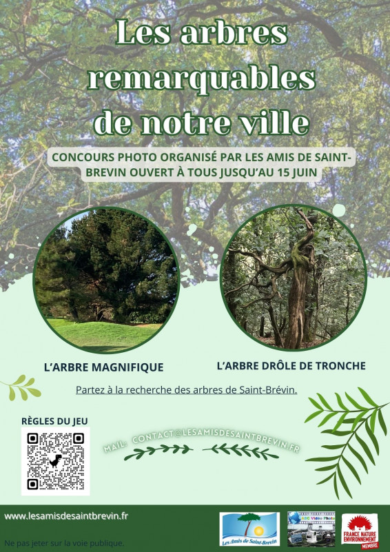 les-arbres-remarquables-de-notre-ville-21770