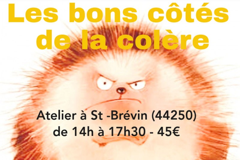 les-bons-cotes-de-la-colere-saint-brevin-12724